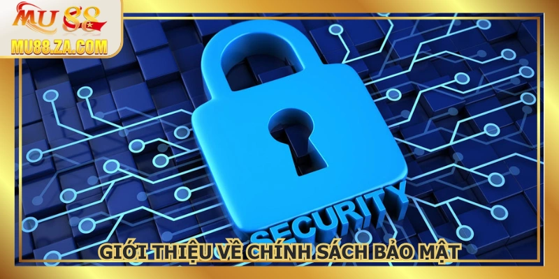 Bao gồm các quy định liên quan đến thông tin hội viên