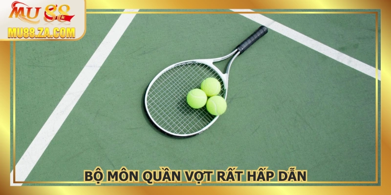 Cập nhật số lượng kèo ngày càng tăng